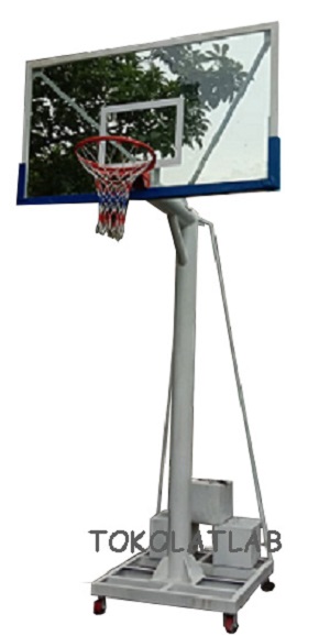 ringbasketekonomistanpalogo